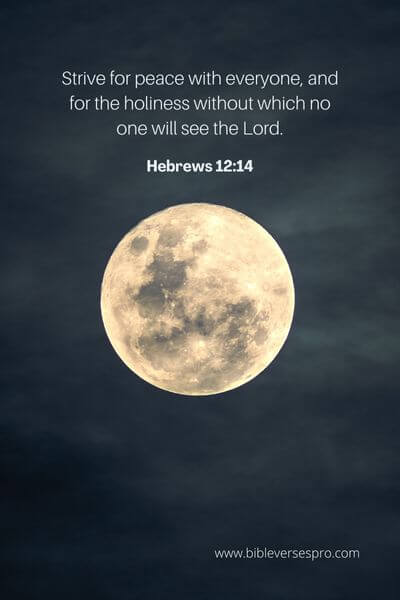 Hebrews 12_14