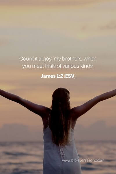 James 1_2 (ESV)