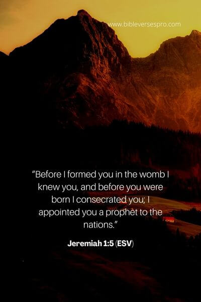 Jeremiah 1_5 (ESV)