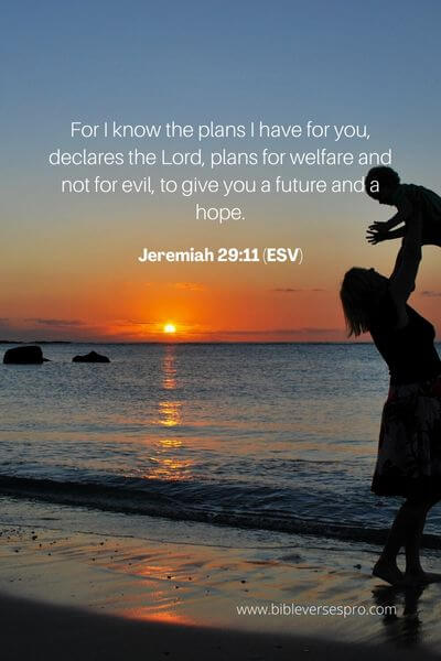 Jeremiah 2911 (ESV)