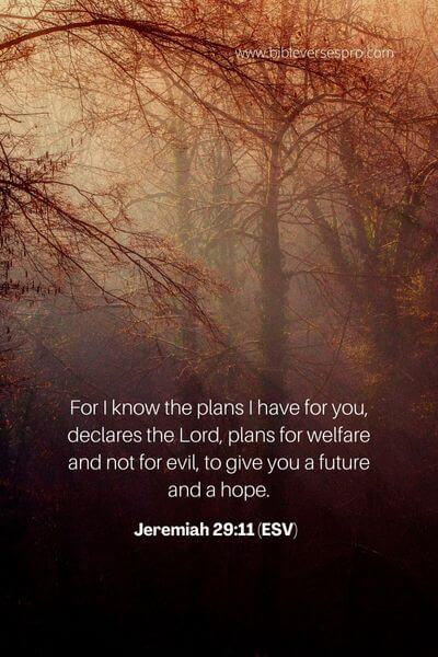 Jeremiah 29_11 (ESV) (1)