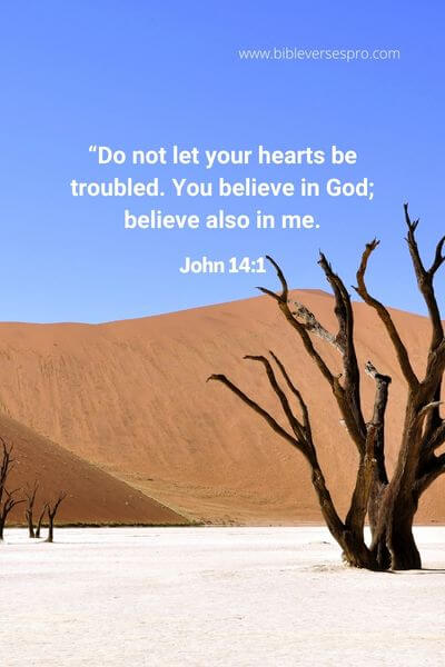 John 14_1