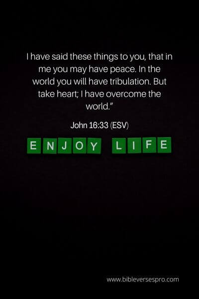 John 16_33 (ESV)