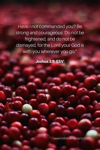 Joshua 1_9 (ESV) (1)