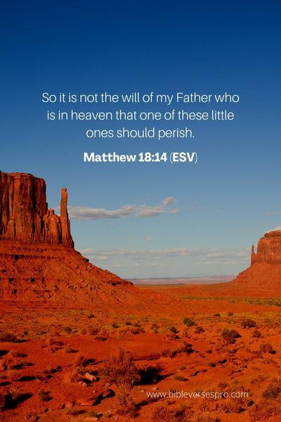 Matthew 18_14 (ESV)