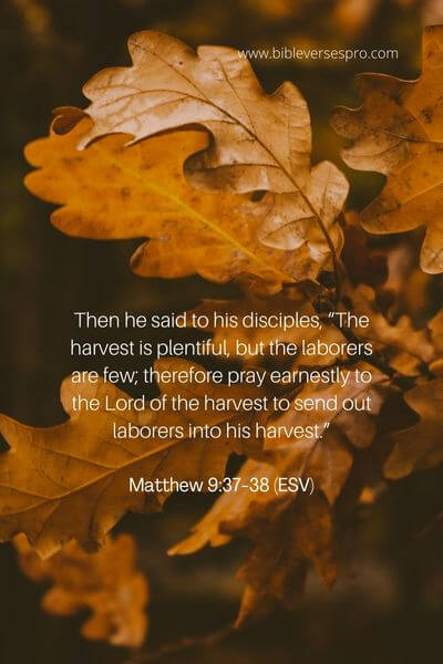 Matthew 9_37-38 (ESV)