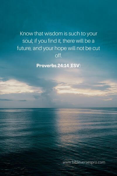 Proverbs 24_14 (ESV)