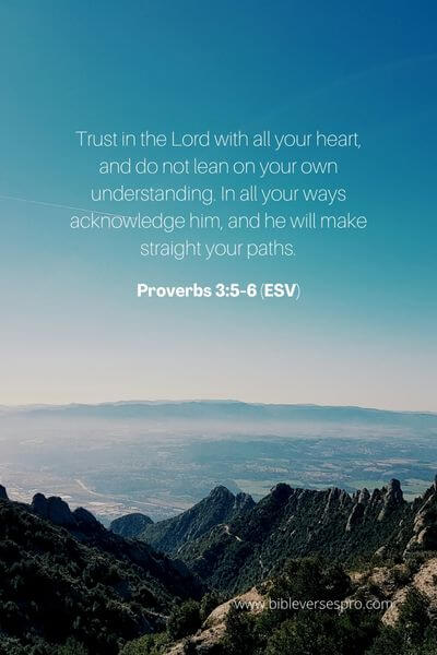 Proverbs 3_5-6 (ESV)