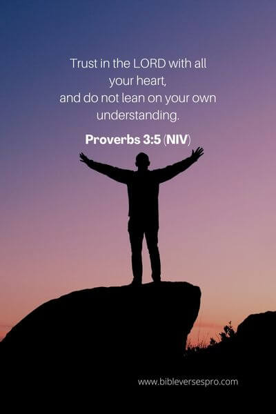 Proverbs 3_5 (NIV)
