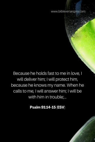 Psalm 91_14-15 (ESV)