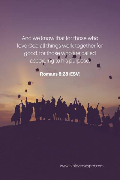 Romans 8_28 (ESV)