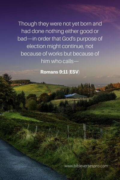 Romans 9_11 (ESV)