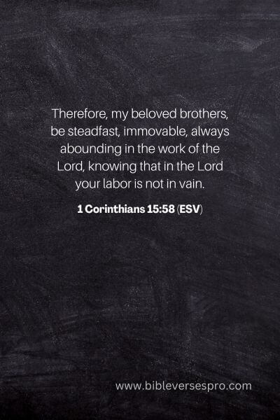 1 Corinthians 15_58 (ESV)