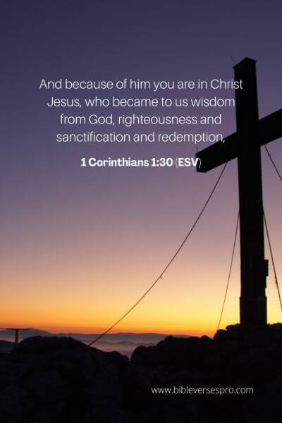 1 Corinthians 1_30 (ESV)
