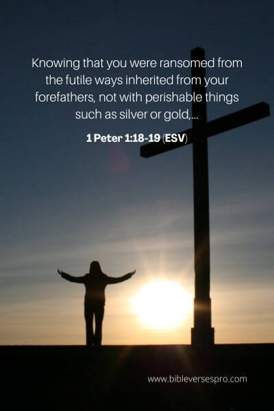 1 Peter 1_18-19 (ESV)