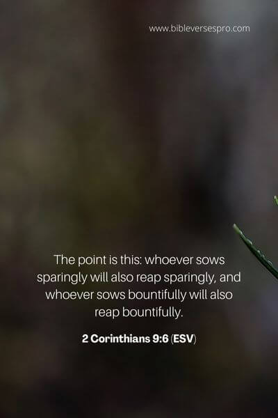 2 Corinthians 9_6 (ESV)