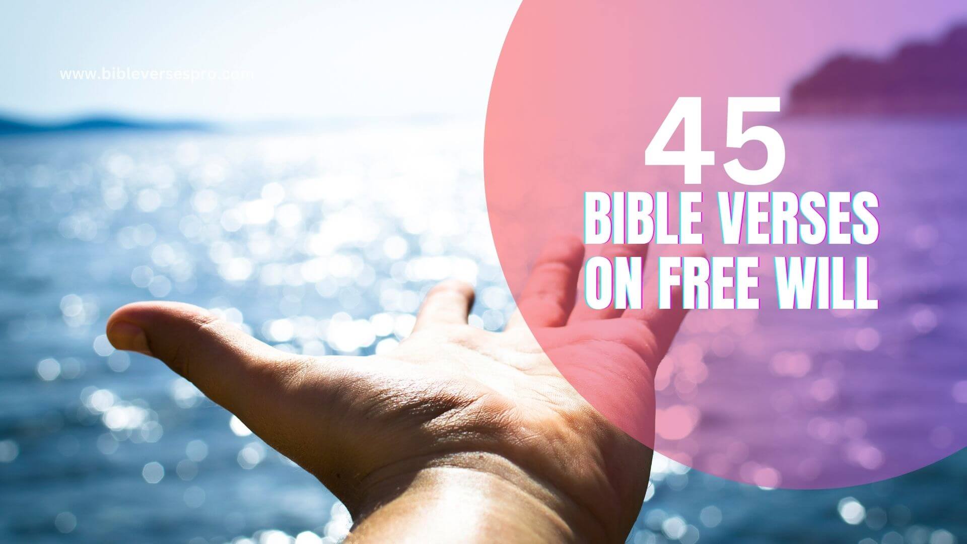 Bible Verses On Free Will