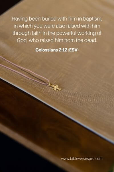 Colossians 2_12 (Esv)
