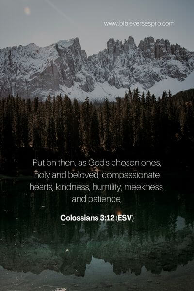 Colossians 3_12 (ESV)