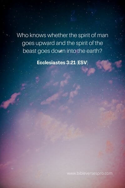 Ecclesiastes 3_21 (ESV)