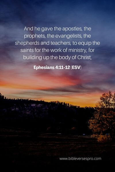 Ephesians 4_11-12 (ESV) 