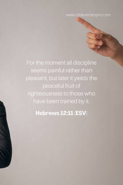 Hebrews 12_11 (ESV)