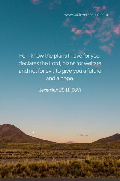 Jeremiah 29_11 (ESV)