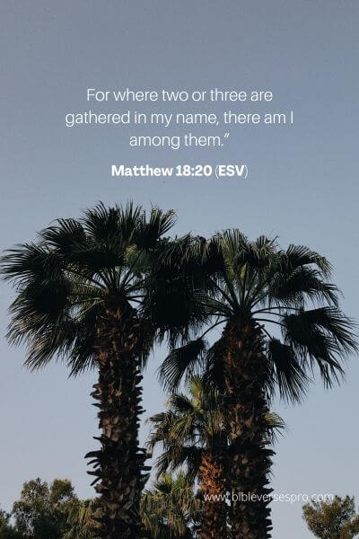 Matthew 18_20 (Esv)