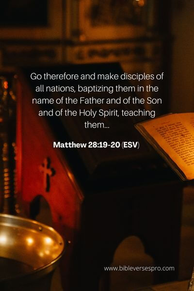 Matthew 28_19-20 (Esv)