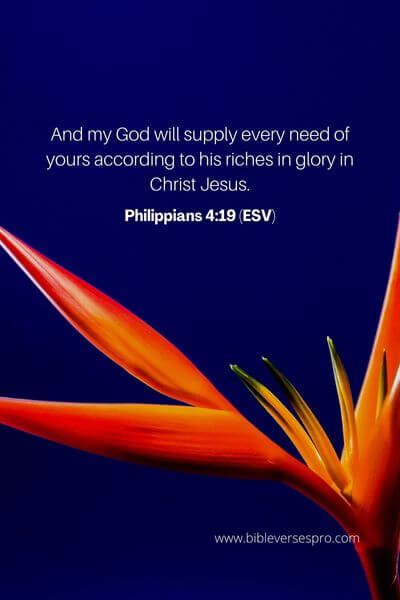 Philippians 4_19 (ESV)