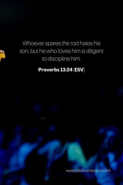 Proverbs 13_24 (ESV)