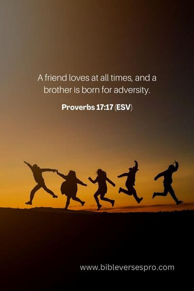 Proverbs 17_17 (ESV)