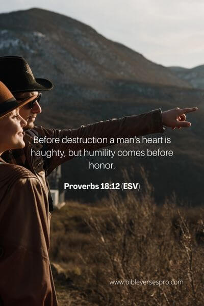 Proverbs 18_12 (ESV)