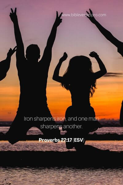 Proverbs 27_17 (ESV) (1)