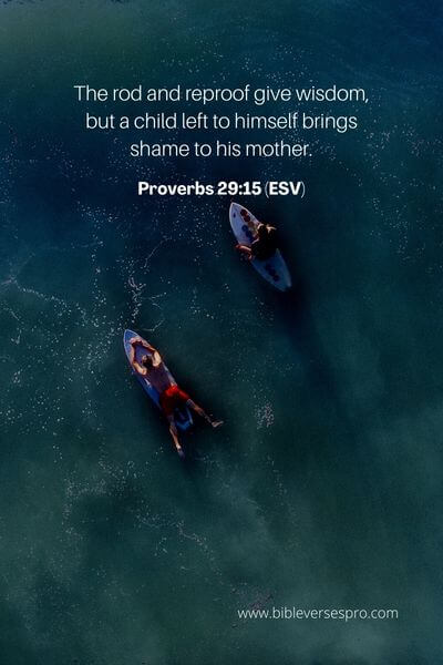 Proverbs 29_15 (ESV)