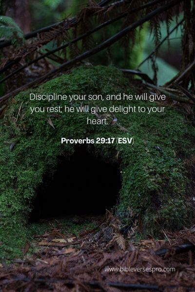 Proverbs 29_17 (ESV)