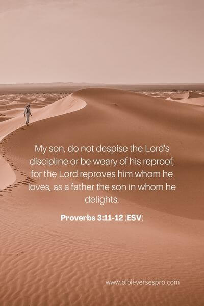Proverbs 3_11-12 (ESV)
