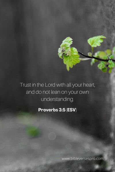 Proverbs 3_5 (ESV)
