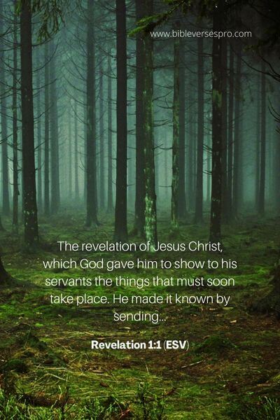 Revelation 1_1 (ESV)