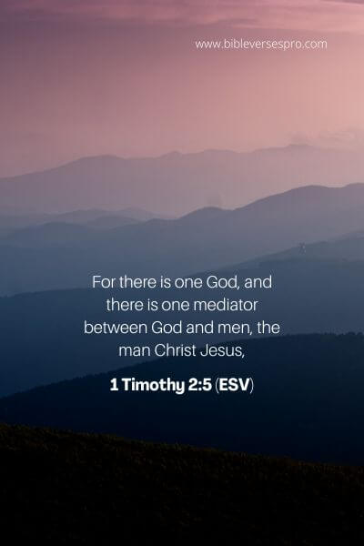 1 Timothy 2_5 (ESV)
