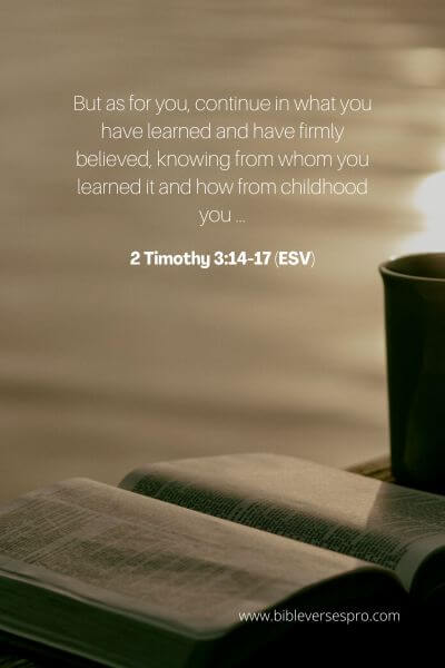2 Timothy 3_14-17 (ESV)