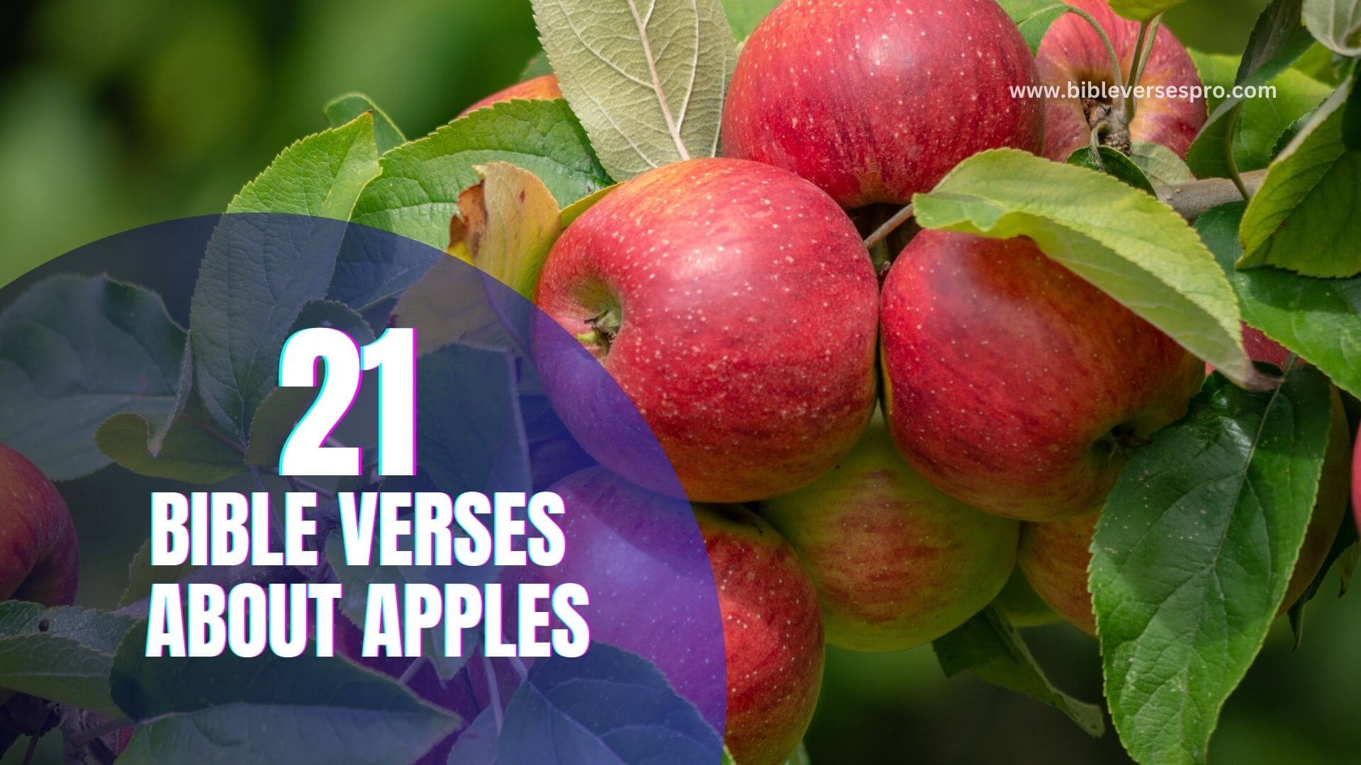 BIBLE VERSES ABOUT APPLES (1)