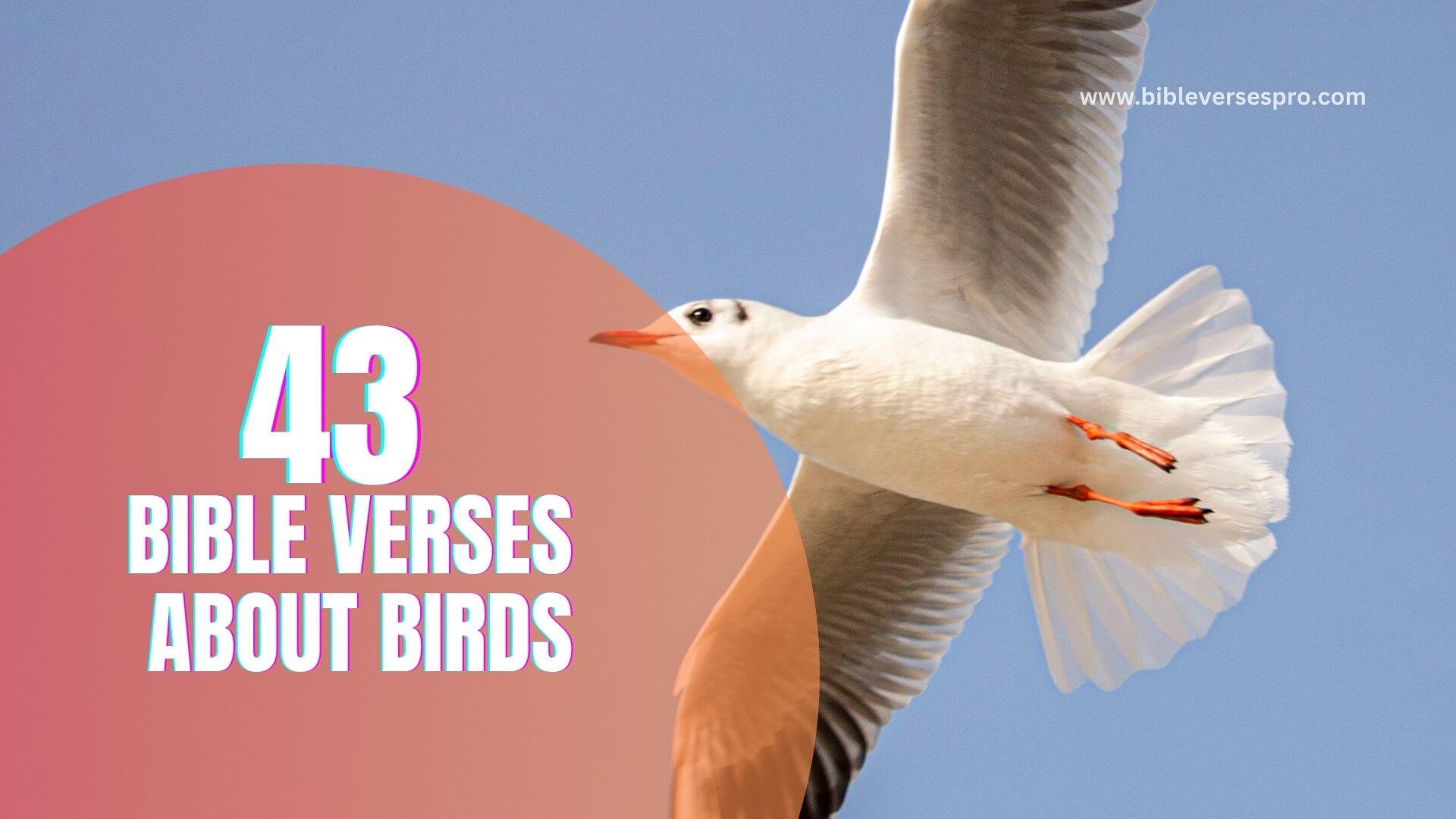 Bible Verses About Birds (1)