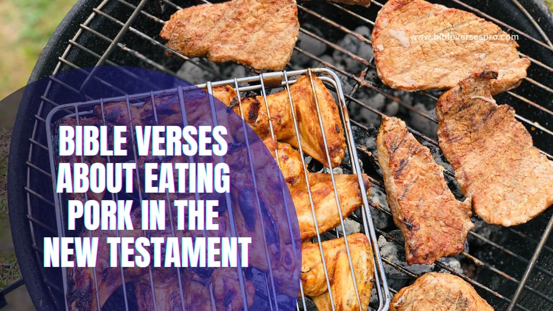 BIBLE VERSES ABOUT EATING PORK IN THE NEW TESTAMENT (1)
