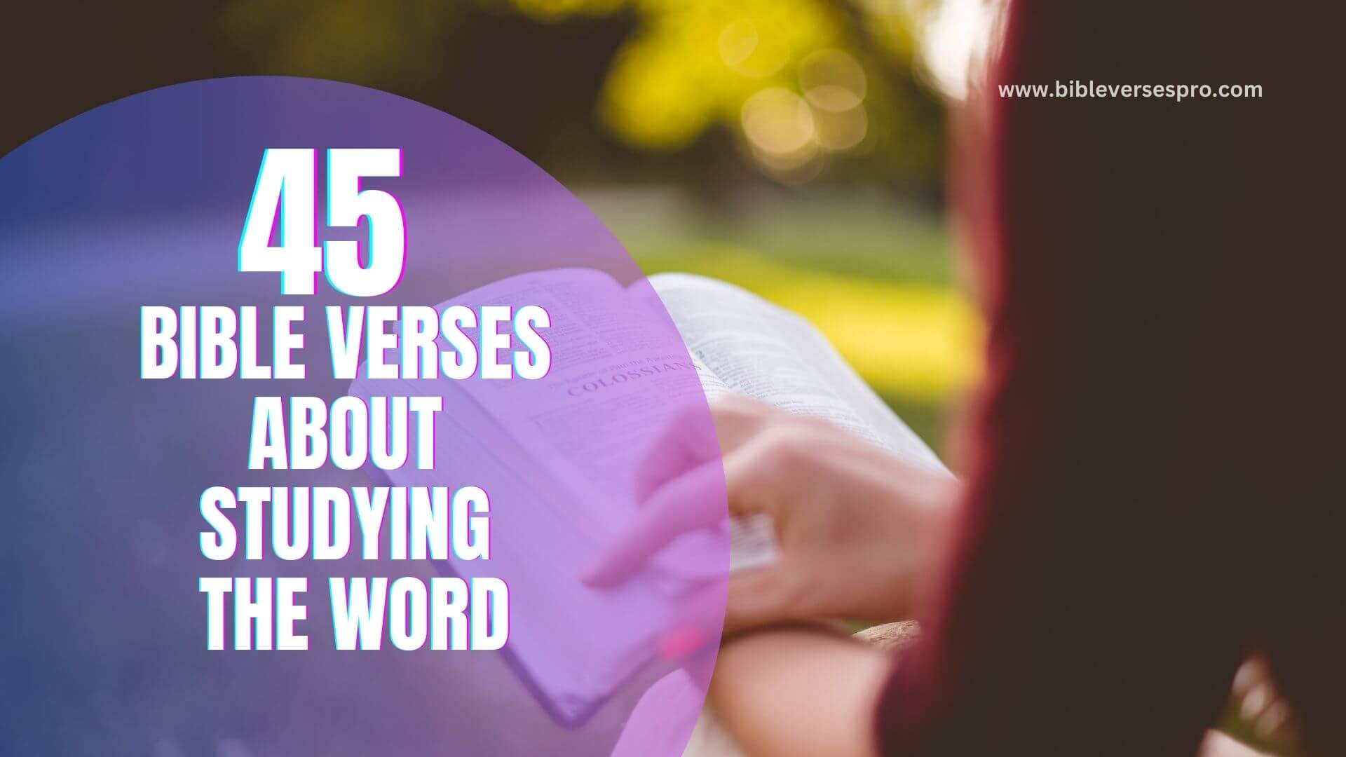 BIBLE VERSES ABOUT STUDYING THE WORD (1)
