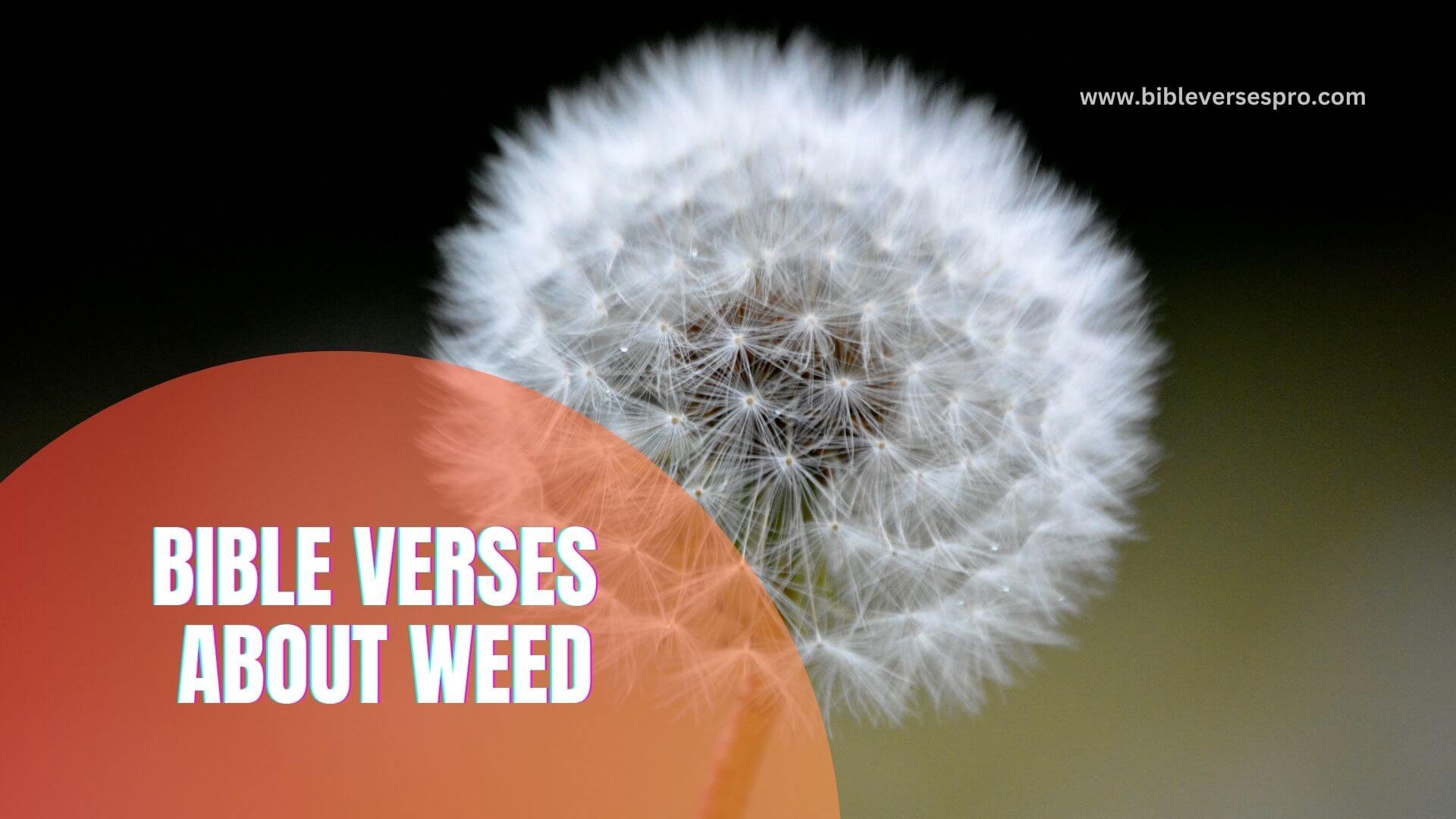 BIBLE VERSES ABOUT WEED (1) (1)