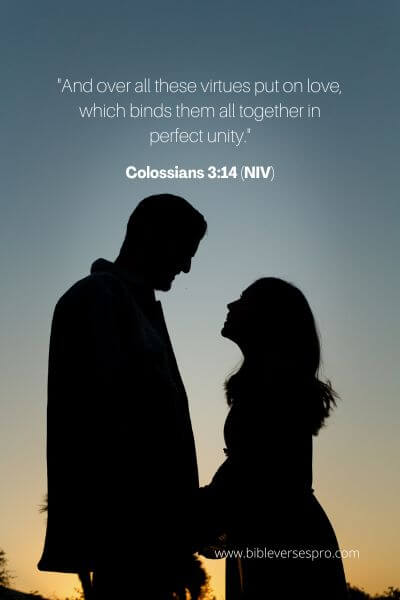 Colossians 3_14 (NIV)