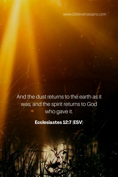 Ecclesiastes 12_7 (ESV)