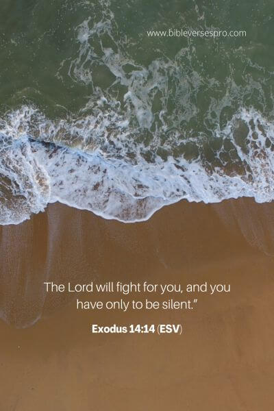 Exodus 14_14 (ESV)