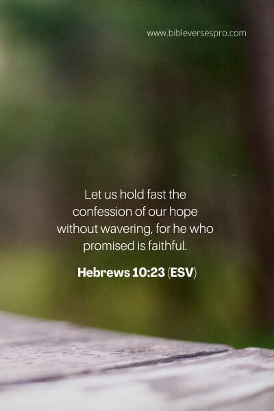Hebrews 10_23 (Esv)